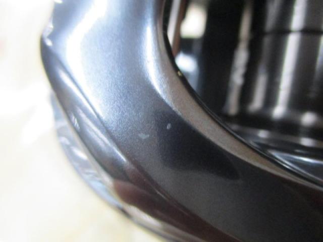 25タトゥーラ SV TW 100H