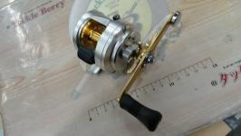 12カルカッタ 300F