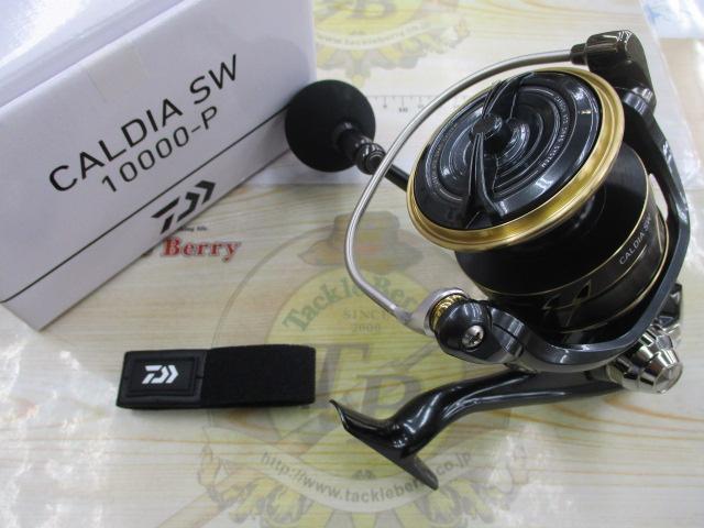 22カルディアSW 10000-P