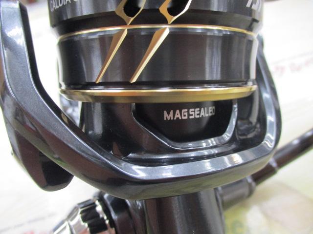 22カルディアSW 10000-P