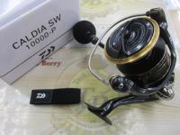 22カルディアSW 10000-P