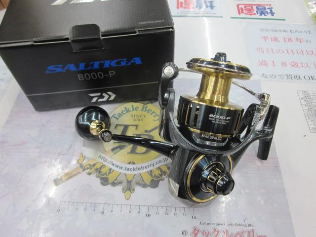 25ソルティガ 8000-P