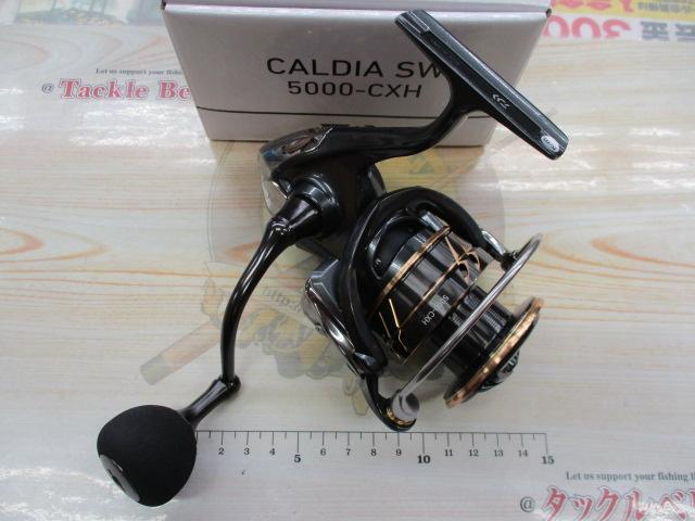 22カルディアSW 5000-CXH