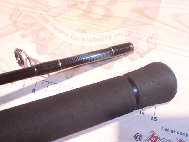 アーリープラス 81M