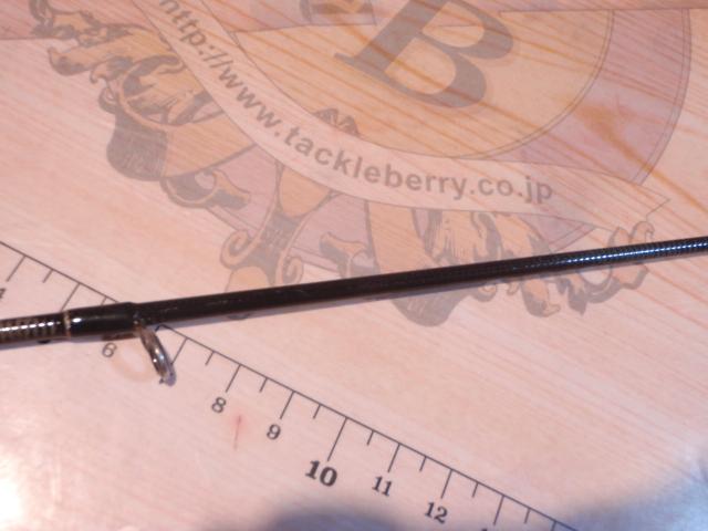 アーリープラス 81M