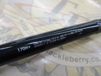 18ポイズングロリアス 170H+