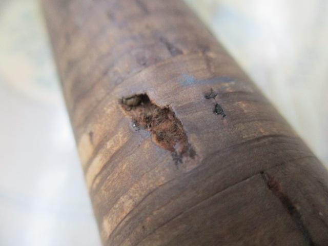 スコーピオンEV 2652-2 (赤ブランクス)