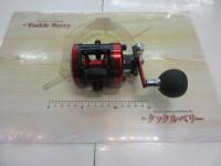 17ダイナスター 250