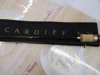 カーディフNX S50L