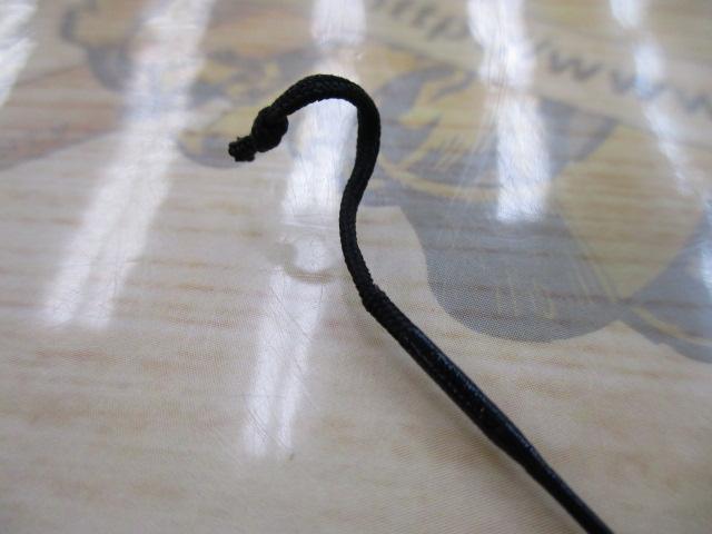 伝入斎10