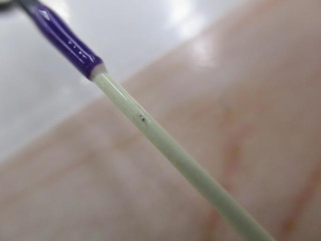 エッグキャストタフィ 110 クレイジーエッグ