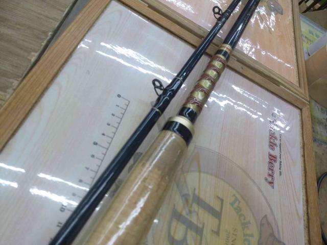 インストラクターキャロナック 80-300