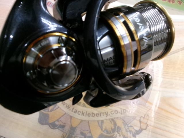 10セルテート 1003