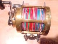 インターナショナルⅡ 50TW