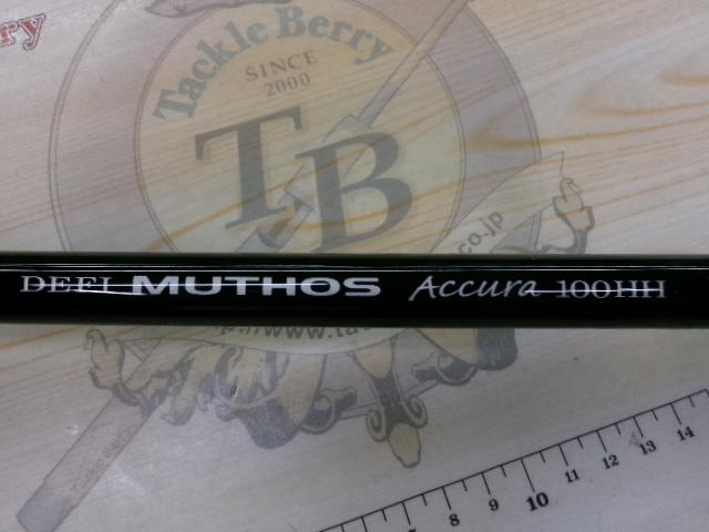 デフィーミュートス DMアキュラ 100HH (RGモデル/RV)