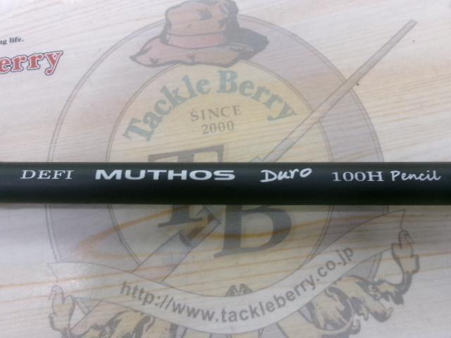 デフィーミュートス DMデューロ 100H ペンシル (RGモデル/RV)