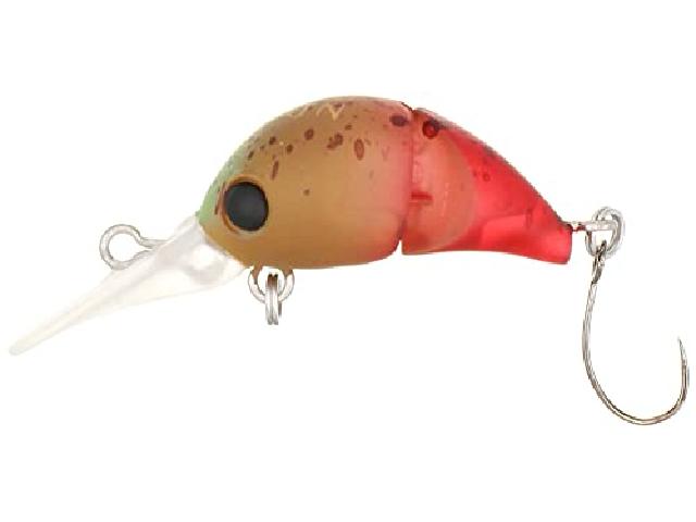 カーディフちびとろ25FTR-125N#012ビスケット