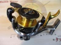 16BB-Xデスピナ C3000DTG