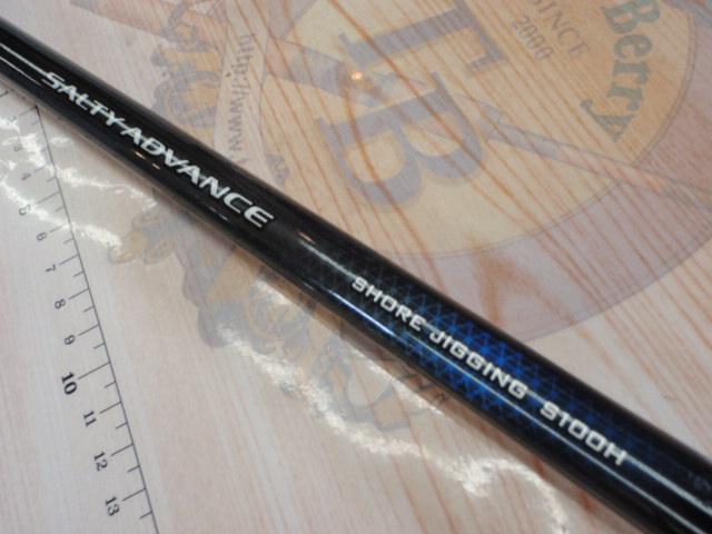 19ソルティーアドバンスショアジギング 100H