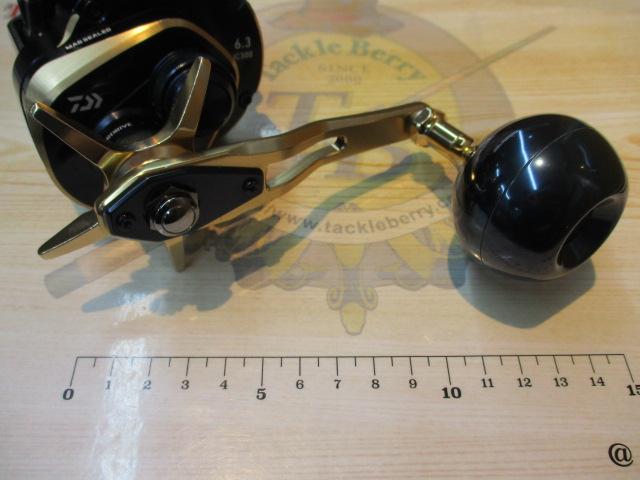 21ソルティガIC 300L