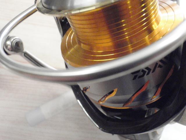 13セルテート 2500