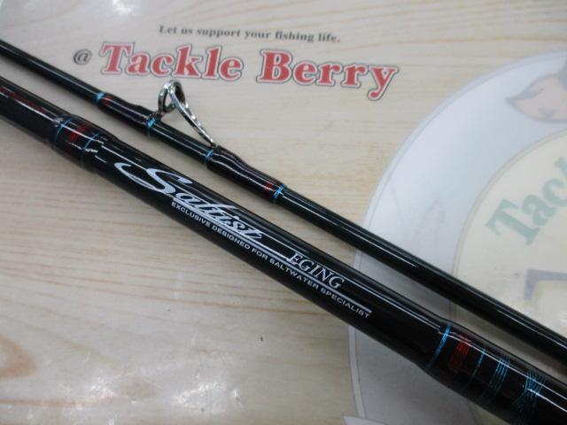 ソルティスト ST-EG76P