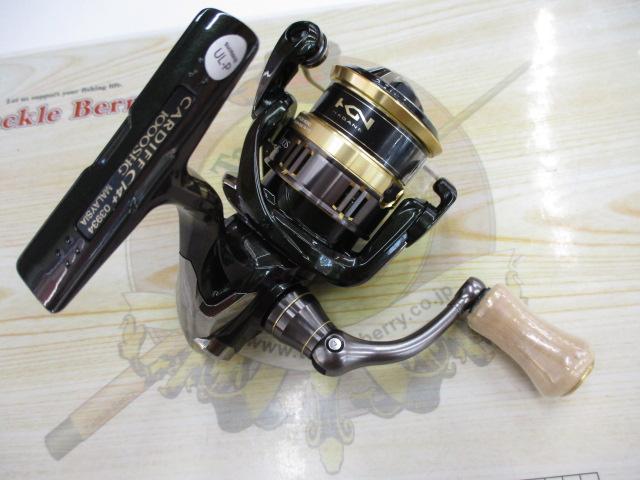 18カーディフCI4+ 1000SHG