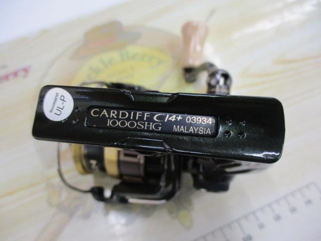 18カーディフCI4+ 1000SHG