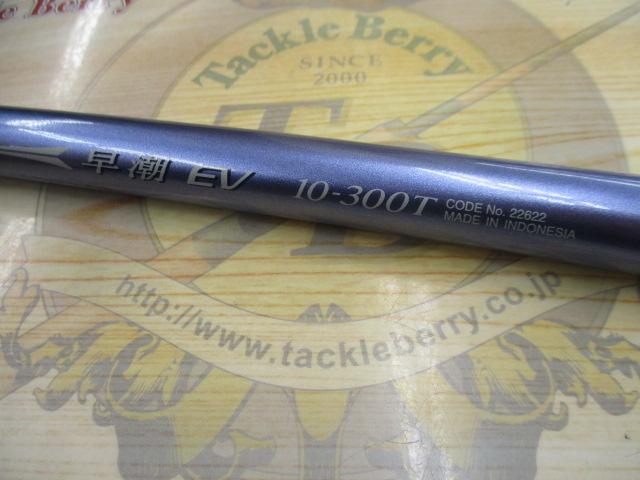 IH早潮EV 10-300T