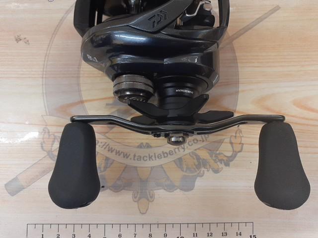 タトゥーラ TW 300XH