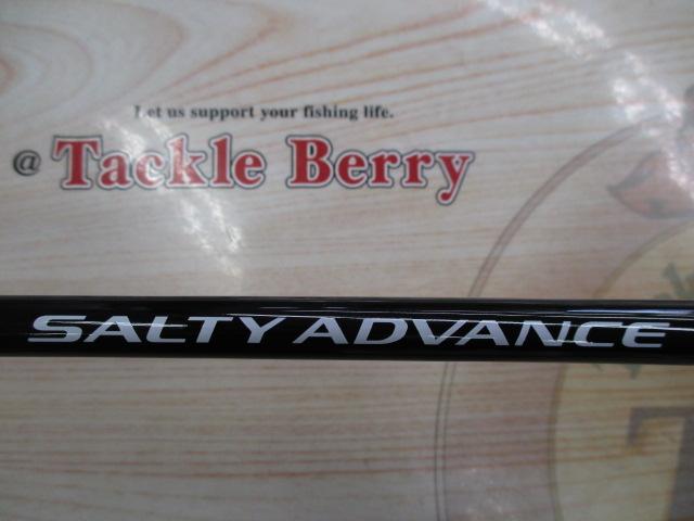 25ソルティーアドバンス ジギング B60-4