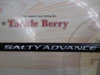 25ソルティーアドバンス ジギング B60-4