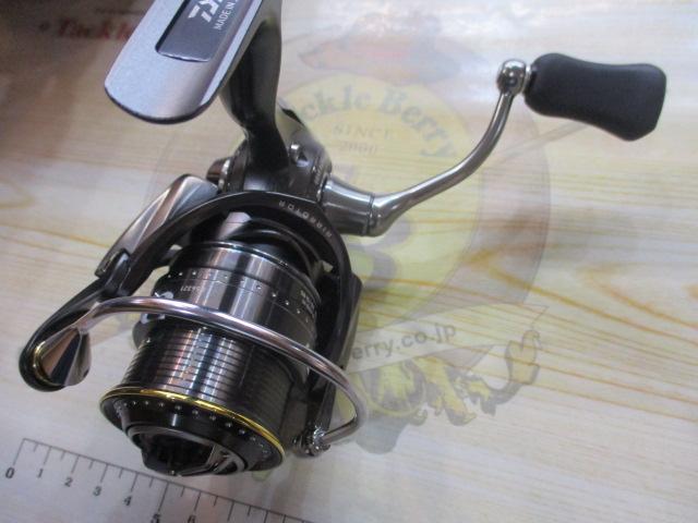 スティーズ タイプⅠ