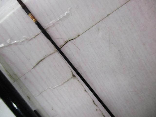 一魚一絵振出水藻本調子7