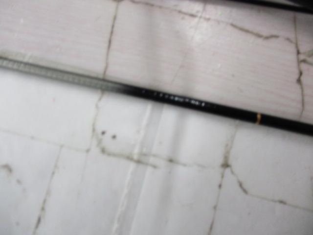 一魚一絵振出水藻本調子7