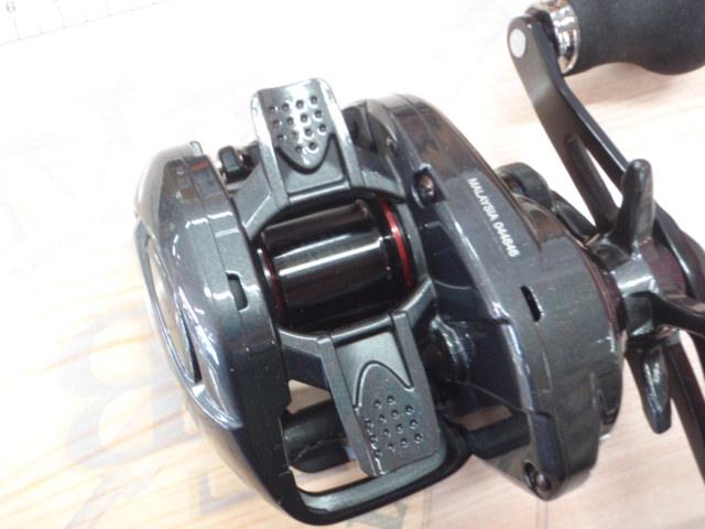 22エンゲツBB 100PG