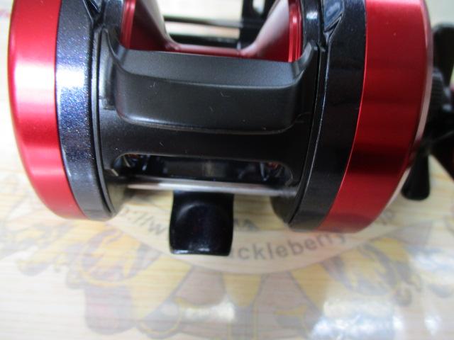 17ダイナスター 250