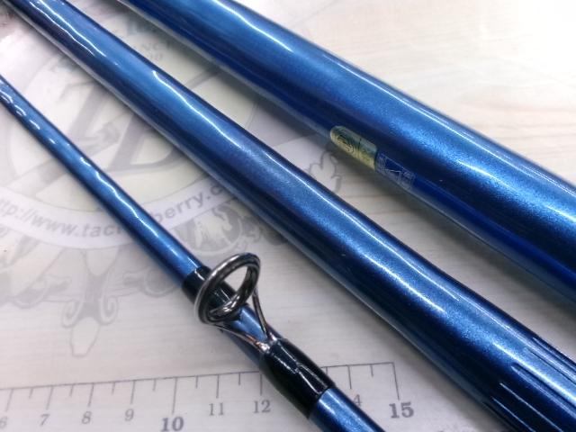 サーフリーダーEVSF 405FX