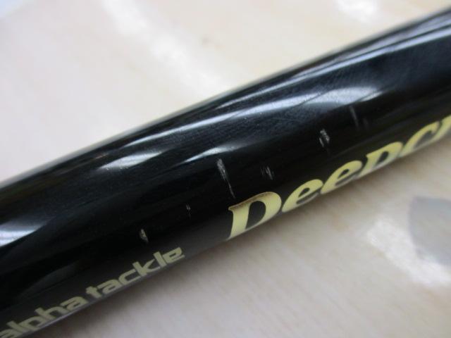 ディープクルーザー300W