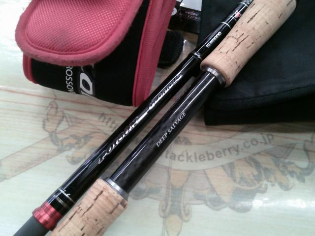 ポイズングロリアス 176M DEEP SALVAGE