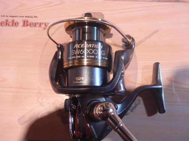アセレーションSW 6000HG