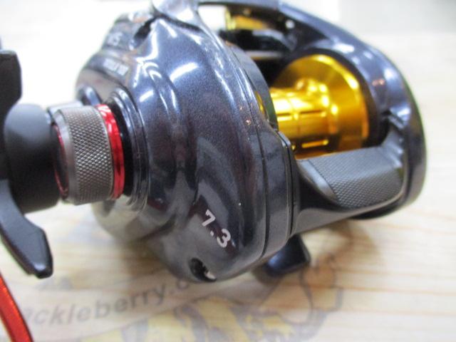 タトゥーラ 100SHL-TW