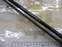 19ソルティーアドバンスエギング 86M