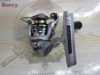 13ナスキー 500HG