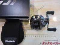 24スティーズ SV TW 100XH