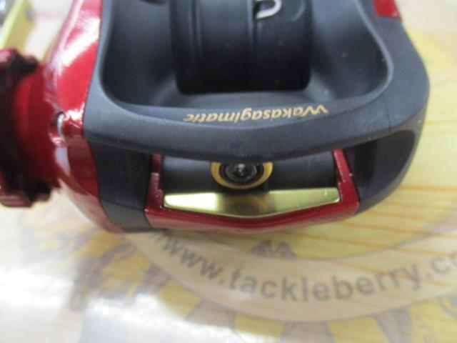 ワカサギマチック右