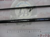 19ソルティーアドバンスショアジギング 100M