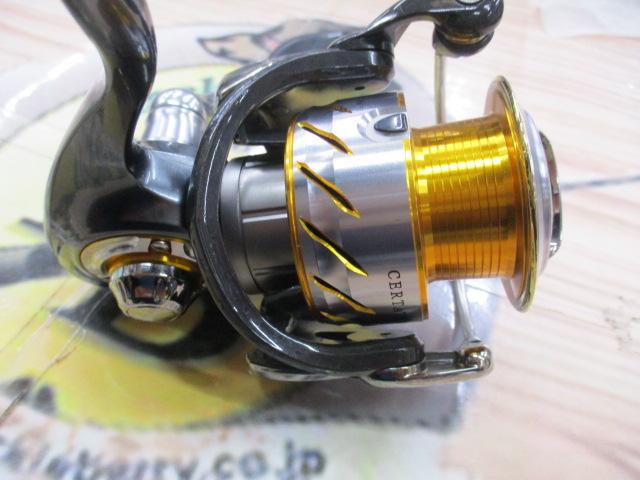 13セルテート 2500