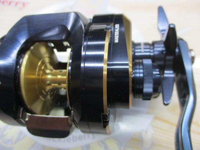 25ソルティガ 300H