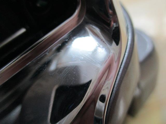 レオブリッツブル 500MM